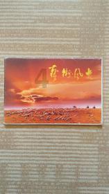 燃烧吧大脑装瓶子游戏